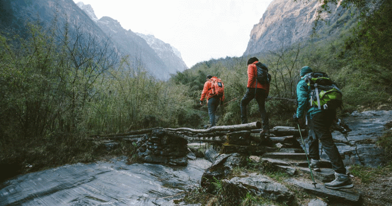 Group of three people hiking across a log that is fallen over a river in the valley of a mountain
